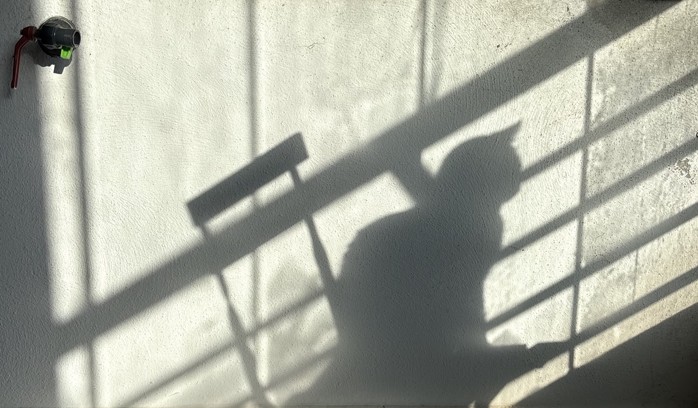 The shadow of my cat Pepito on the balcony.