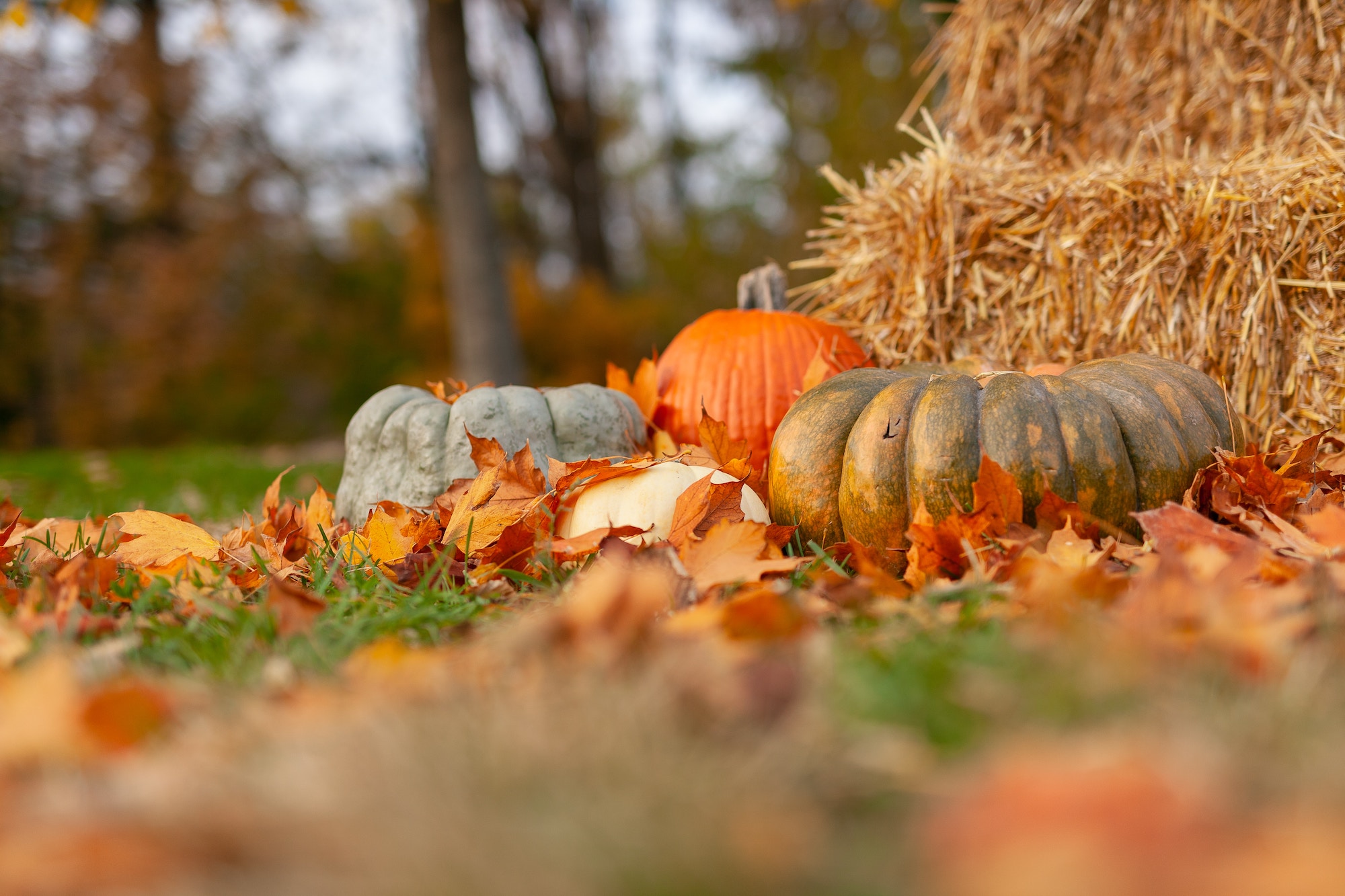Header image for November 2019 Update