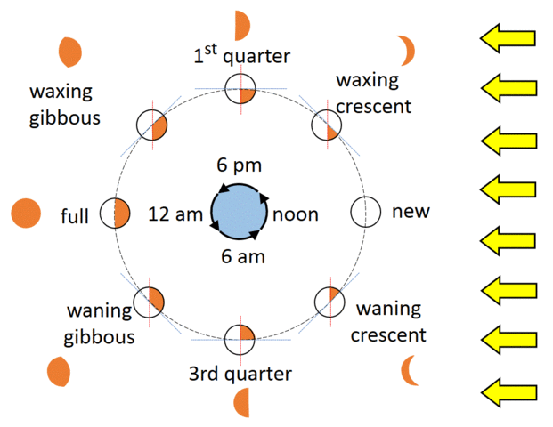 A very simplified version of the Earth and Moon  system. The black arrow indicates the rotation of Earth, and also depicts the motion of the Moon as the phase changes from &rsquo;new&rsquo;, &lsquo;first quarter&rsquo;, &lsquo;full&rsquo;, &rsquo;third quarter&rsquo;, then back to &rsquo;new&rsquo; in the course of a month.
